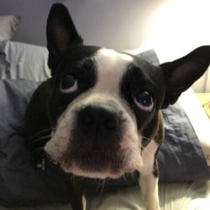 Meet your Posher, Linda